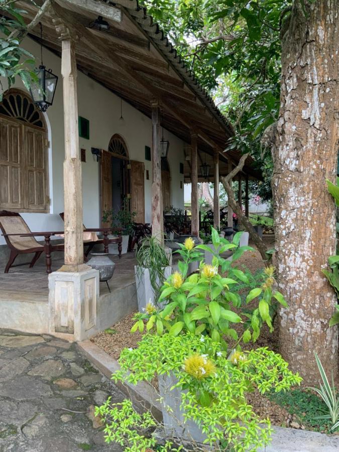 Lali Villa & Fruit Garden 갈레 외부 사진
