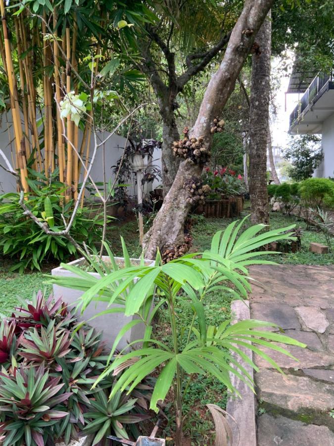 Lali Villa & Fruit Garden 갈레 외부 사진