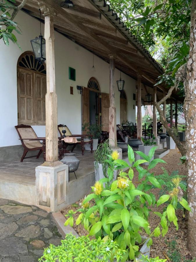 Lali Villa & Fruit Garden 갈레 외부 사진