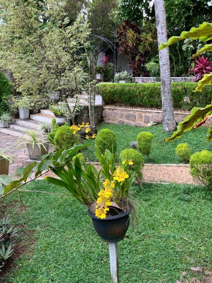 Lali Villa & Fruit Garden 갈레 외부 사진