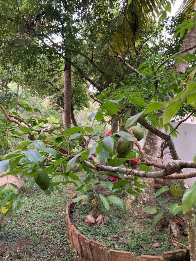 Lali Villa & Fruit Garden 갈레 외부 사진