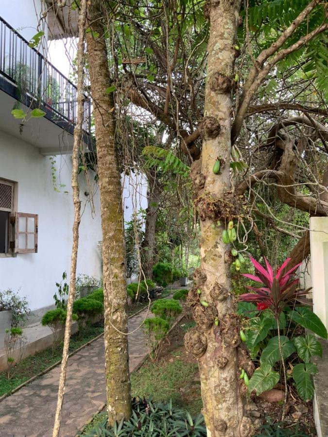 Lali Villa & Fruit Garden 갈레 외부 사진