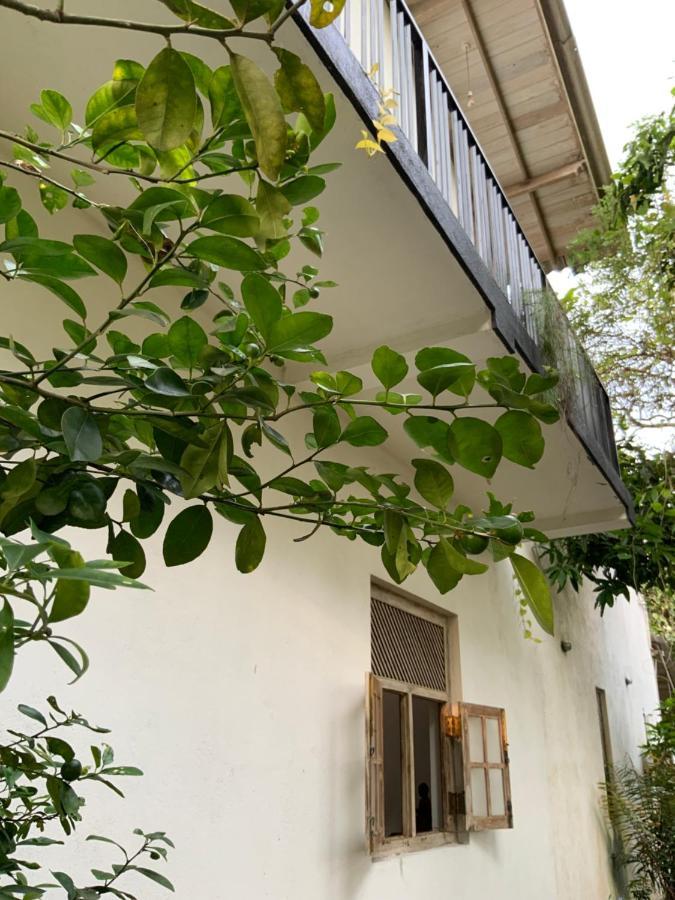 Lali Villa & Fruit Garden 갈레 외부 사진