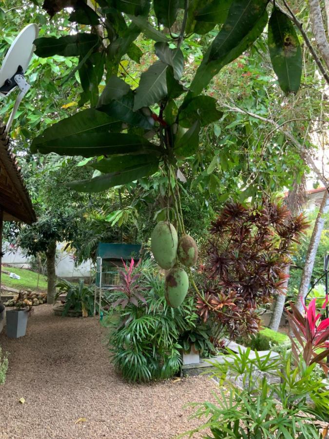 Lali Villa & Fruit Garden 갈레 외부 사진